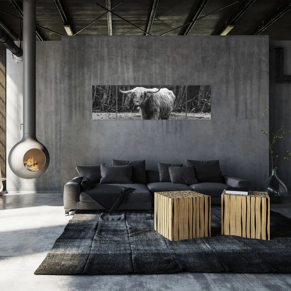 Obraz - Szkocka krowa 3, czarno - biały (170x50 cm)