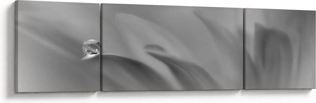 Obraz - Kropla na kwiecie, czarno - biały (170x50 cm)