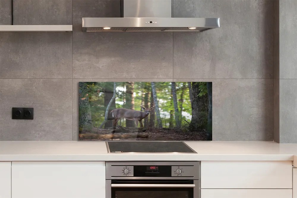 Panel nad Blat Kuchenny Spotkanie z Jeleniem w Puszczy