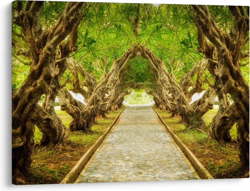 Obraz - Żywy tunel plumerii (70x50 cm)