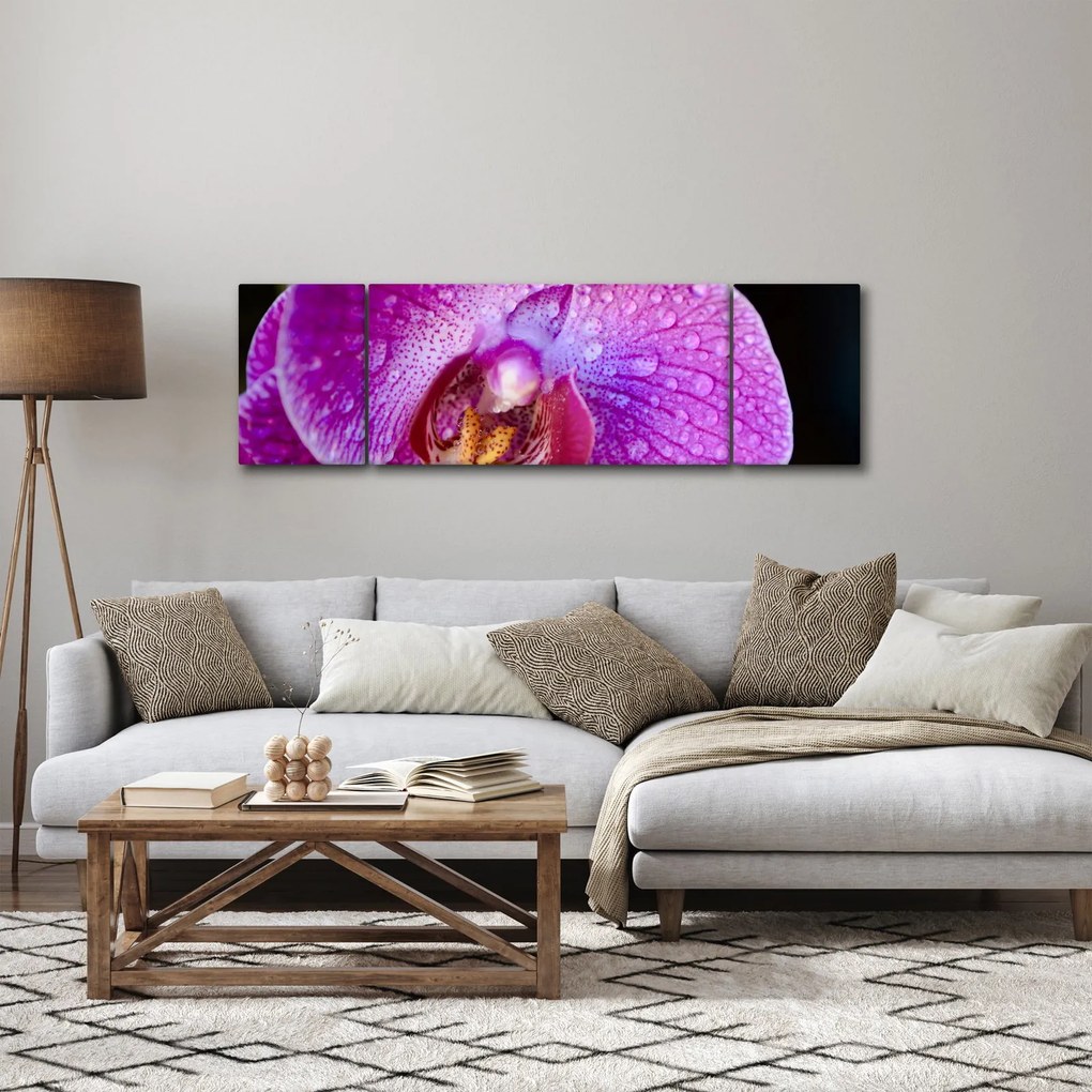 Zbliżenie kwiatu orchidei (170x50 cm)