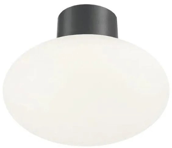 Ideal Lux - Lampa sufitowa zewnętrzna CLIO 1xE27/42W/230V IP44 antracyt