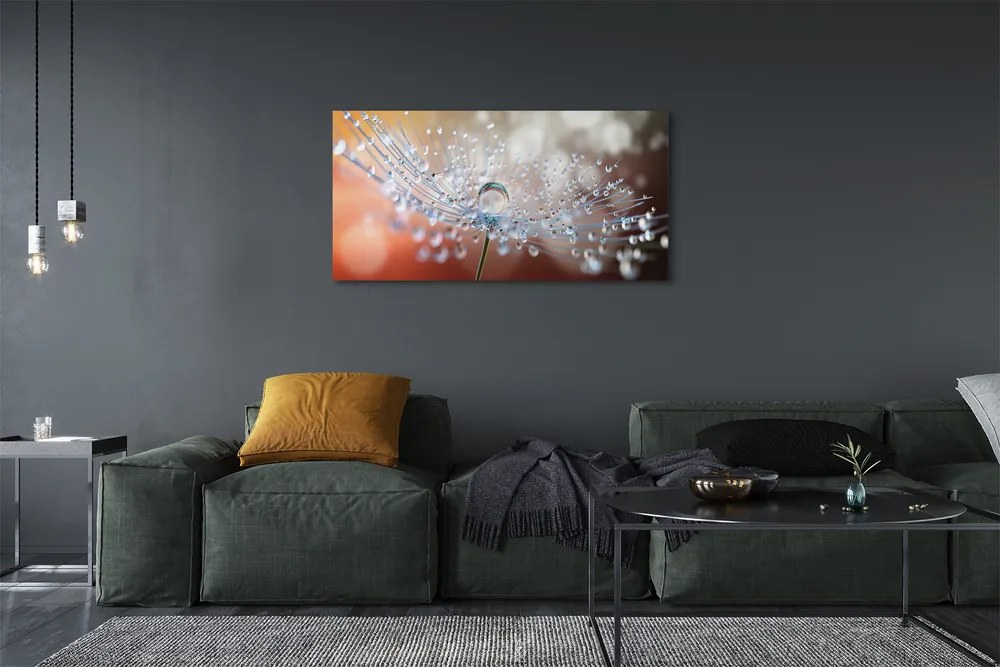 Obraz na płótnie Poranny Detal Dmuchawca