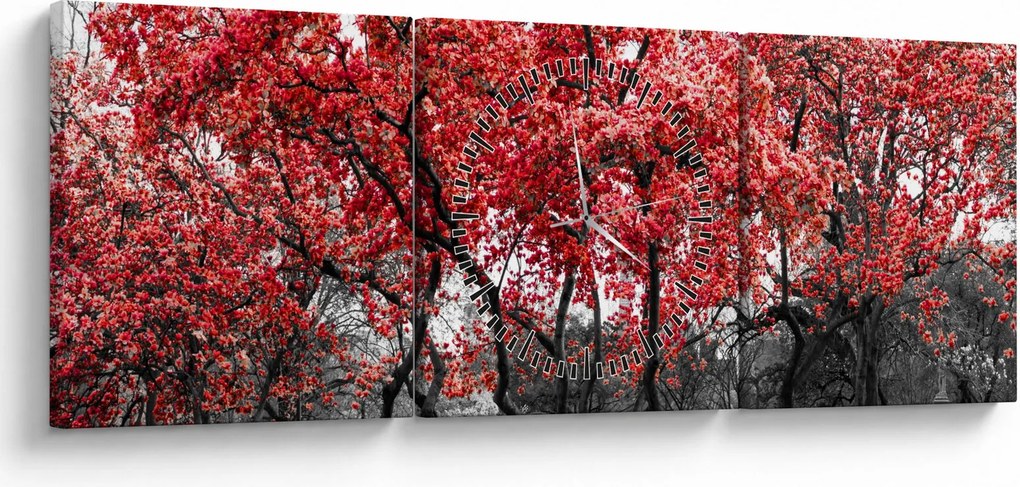 Obraz - Czerwone drzewa, Central Park, New York (z zegarem) (90x30 cm)