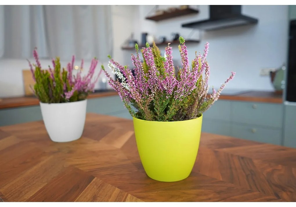 Gardenico Doniczka Ella matowy biały, śr. 18 cm, śred. 18 cm