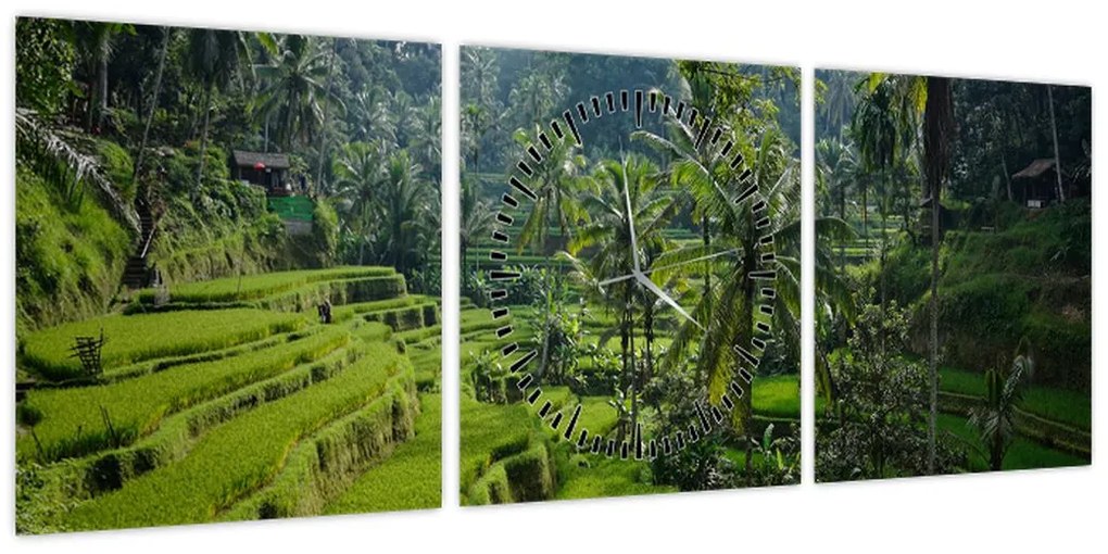 Obraz tarasów ryżowych Tegalalang, Bali (z zegarem) (90x30 cm)
