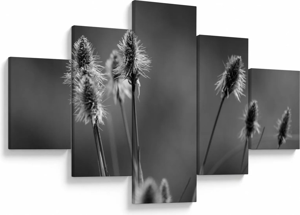 Obraz - Beżowa miękka trawa N⁰2 (125x70 cm)