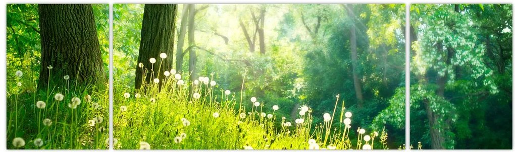 Obraz - Magiczna łąka pełna mniszków lekarskich (170x50 cm)