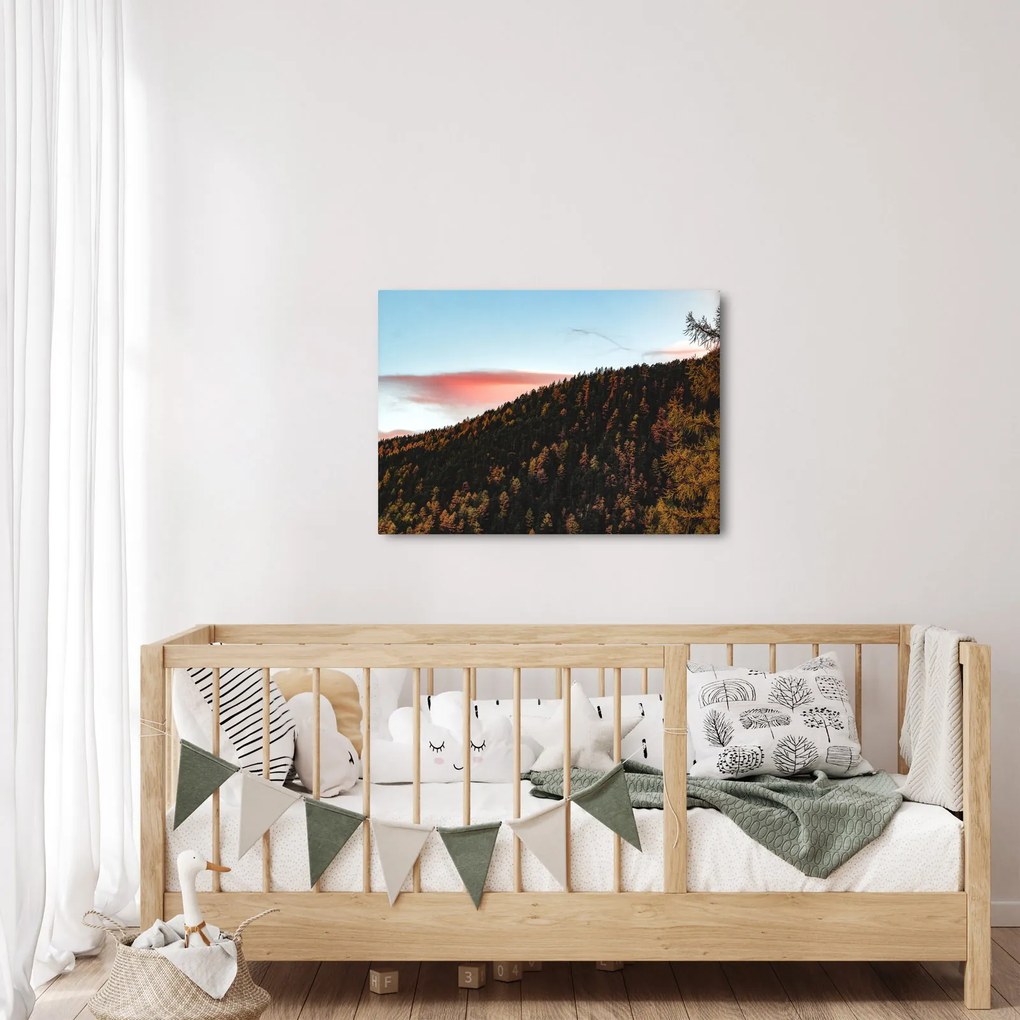 Obraz rudzików nad wzgórzem (70x50 cm)
