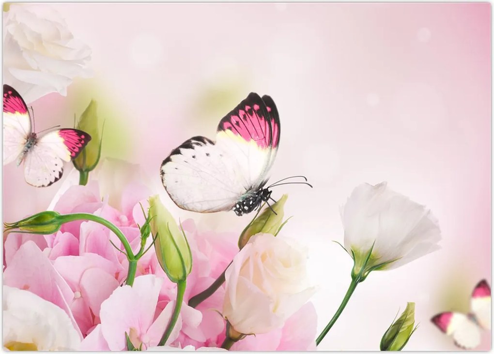 Obraz na szkle - Motyl (70x50 cm)