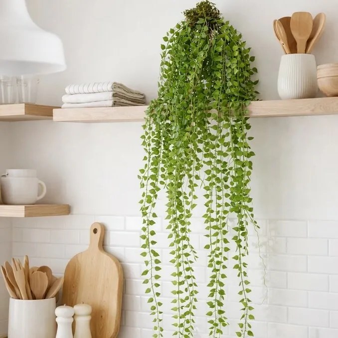 Sztuczna roślina Columnea wisząca, 48 cm, zielona