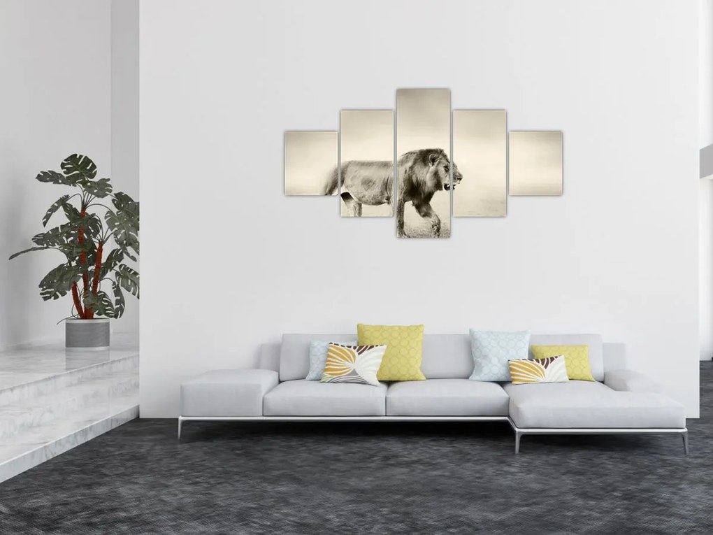 Obraz - Głodny lew (125x70 cm)