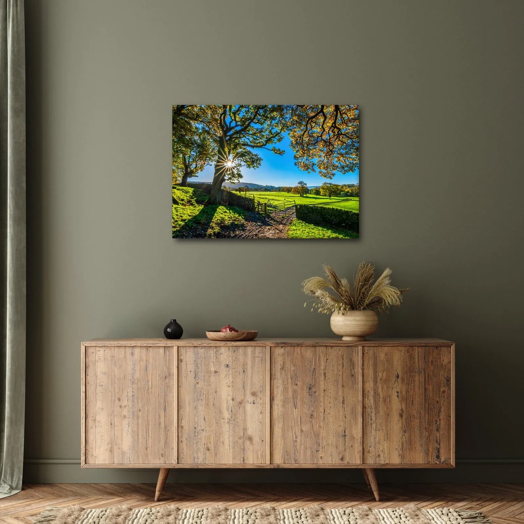 Obraz - widok pola (70x50 cm)