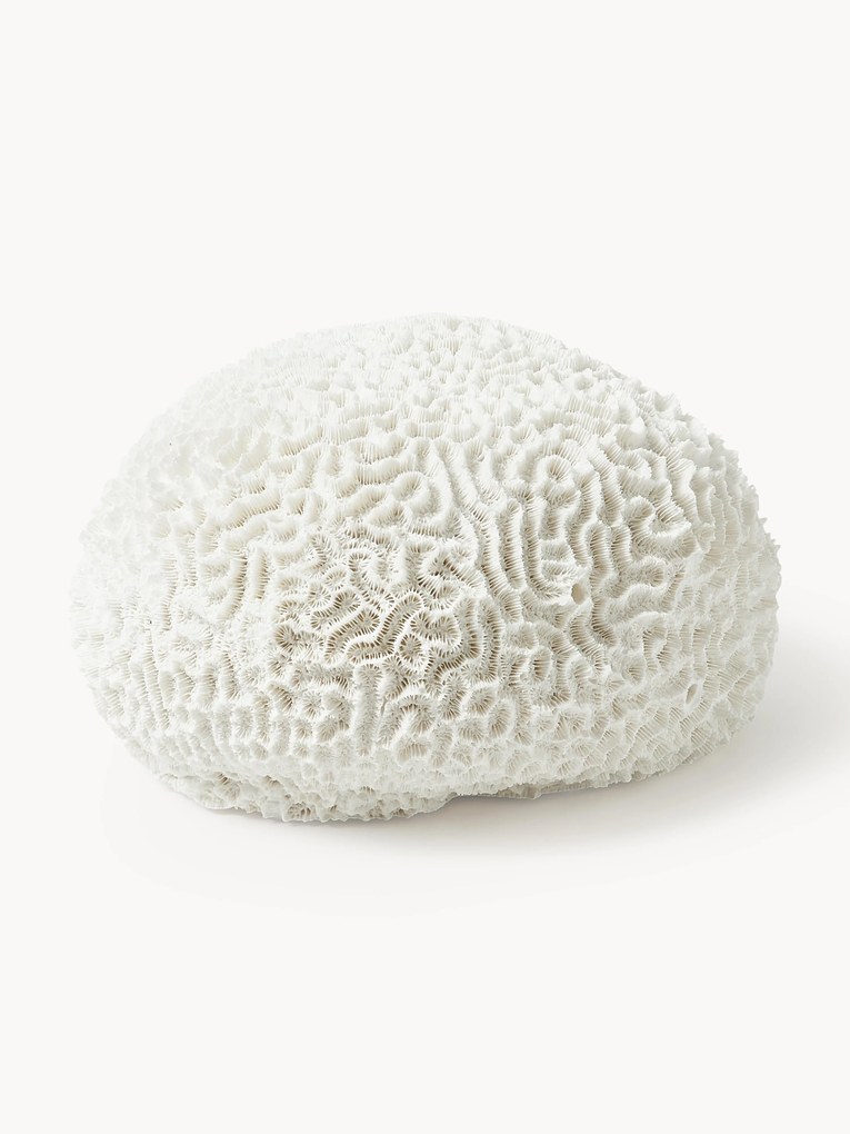 Dekoracja Coral
