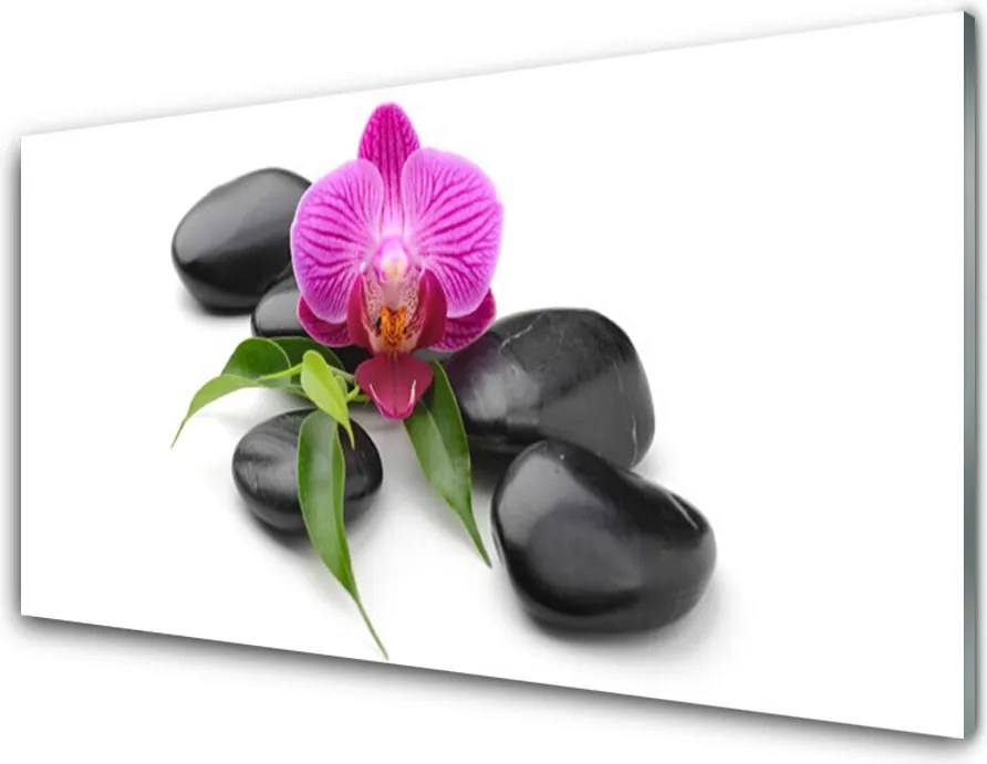 Panel nad blat kuchenny Artystyczny Balans Natury