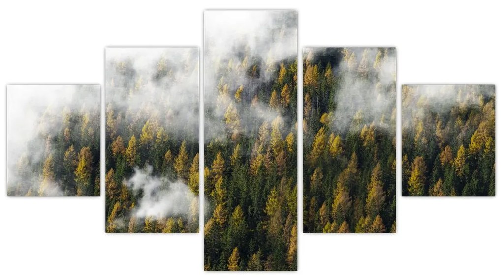 Obraz lasu w chmurach (125x70 cm)