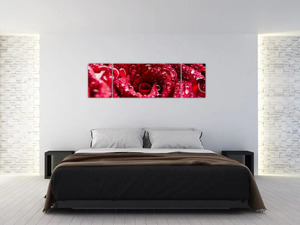 Obraz czerwonego kwiatu róży (170x50 cm)