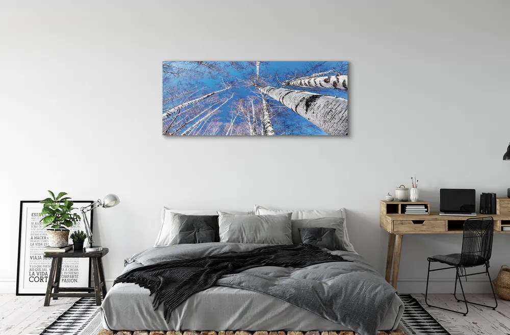 Zdjęcie na płótnie Brzozy na Tle Nieba