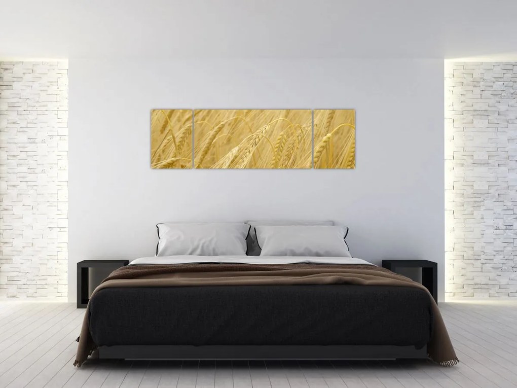 Obraz - Jęczmień (170x50 cm)