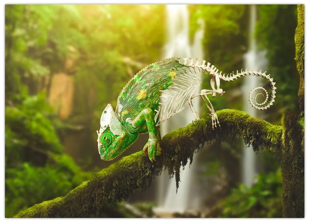Obraz na szkle - kameleon (70x50 cm)