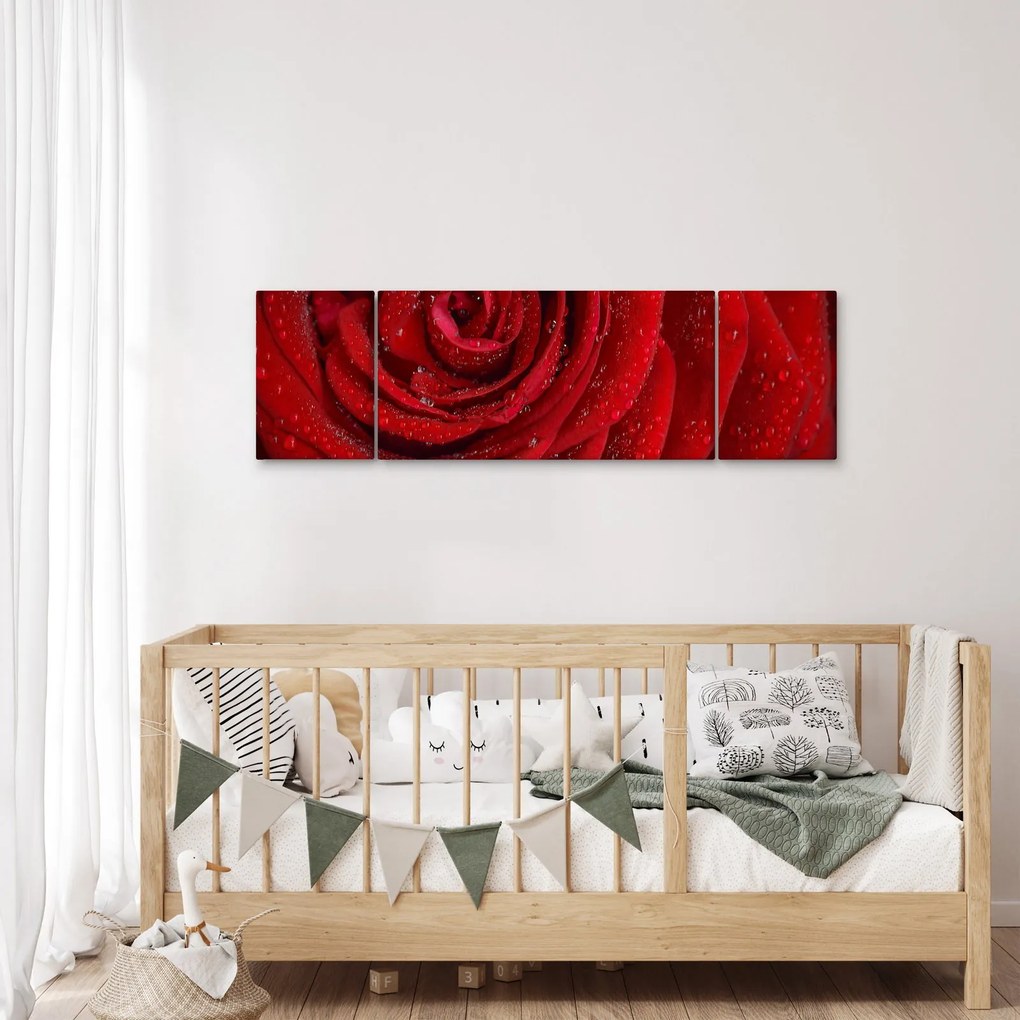 Obraz - szczegół róży (170x50 cm)