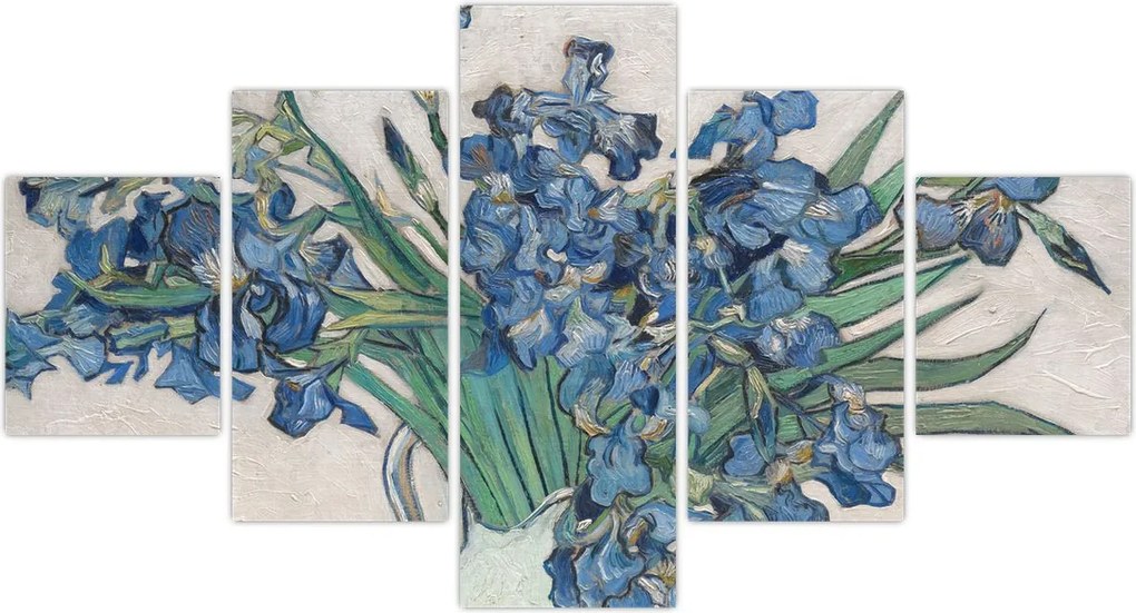 Obraz - Vincent van Gogh, Irises, reprodukcje (125x70 cm)