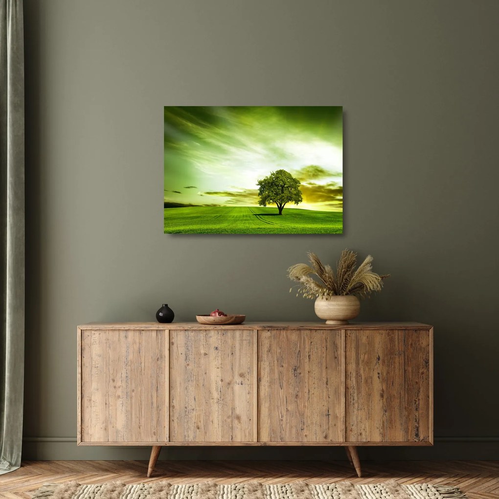 Obraz na szkle - Drzewo życia (70x50 cm)