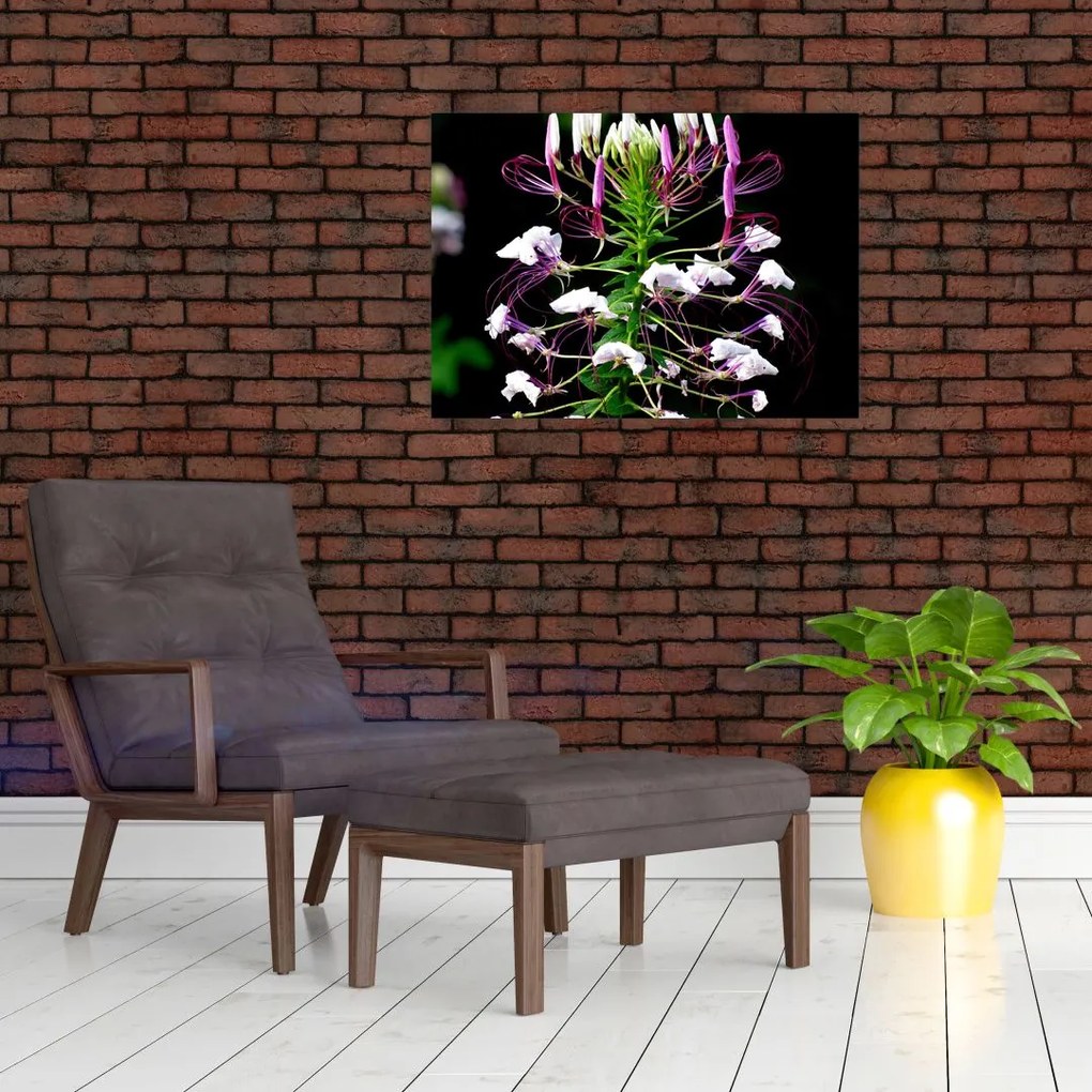 Obraz na szkle kwiatu (70x50 cm)