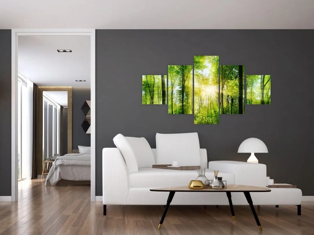 Obraz - Świt w lesie (125x70 cm)