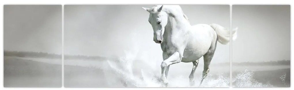 Obraz - Biały koń (170x50 cm)