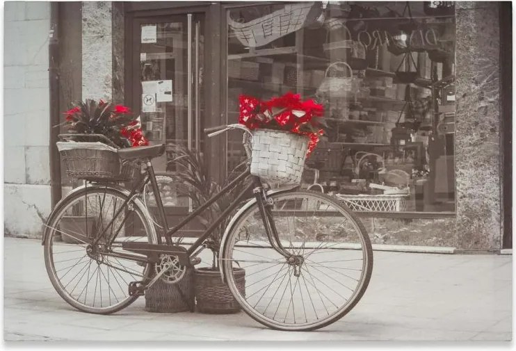 Obraz poinsecja, 40 x 60 cm