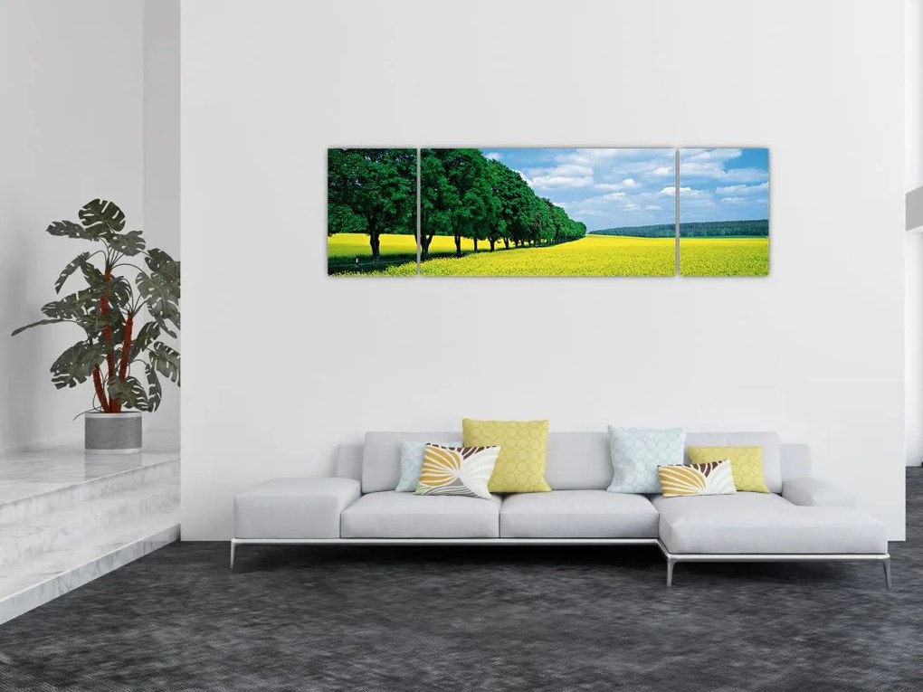 Obraz pola z aleją (170x50 cm)