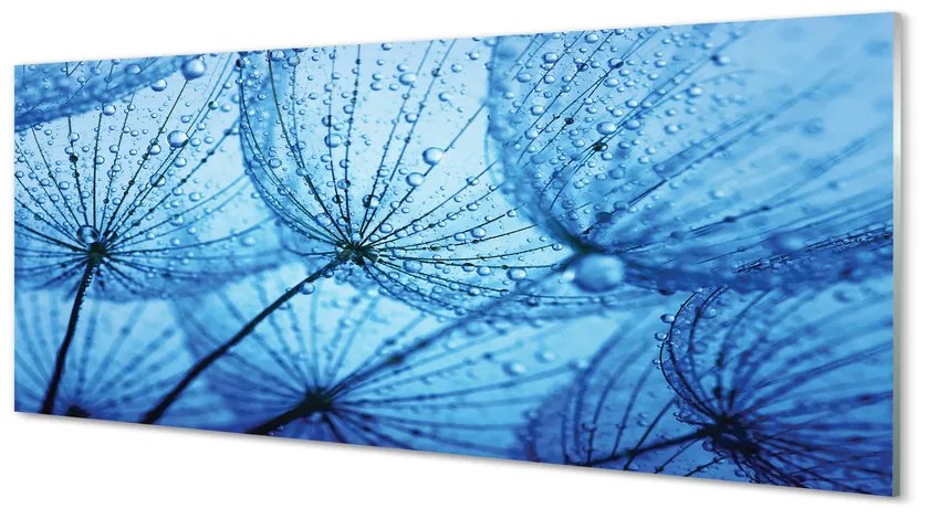 Szklany Panel Krople dmuchawce makro