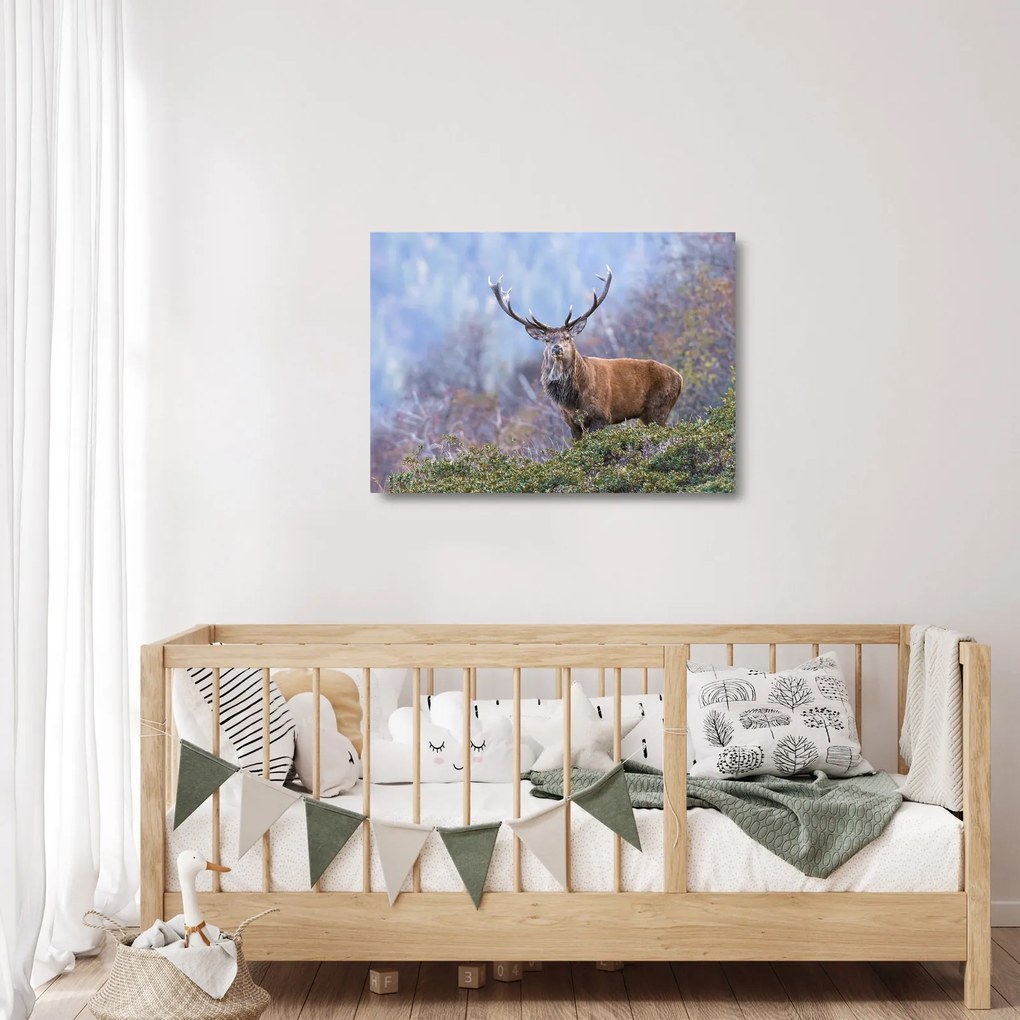 Obraz na szkle - Jeleń w krajobrazie (70x50 cm)