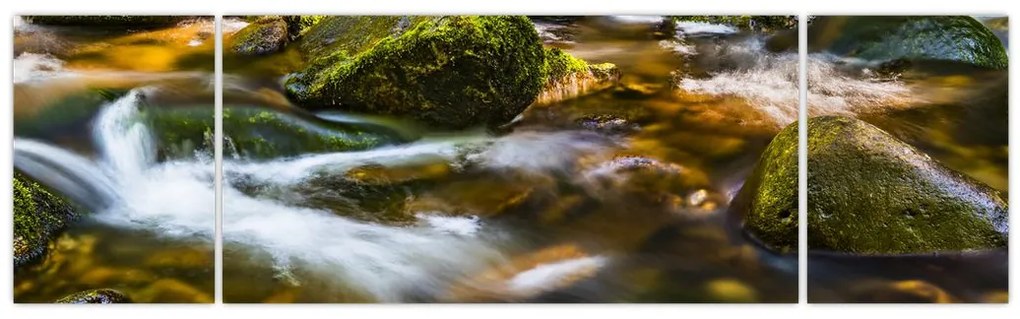 Obraz strumienia (170x50 cm)