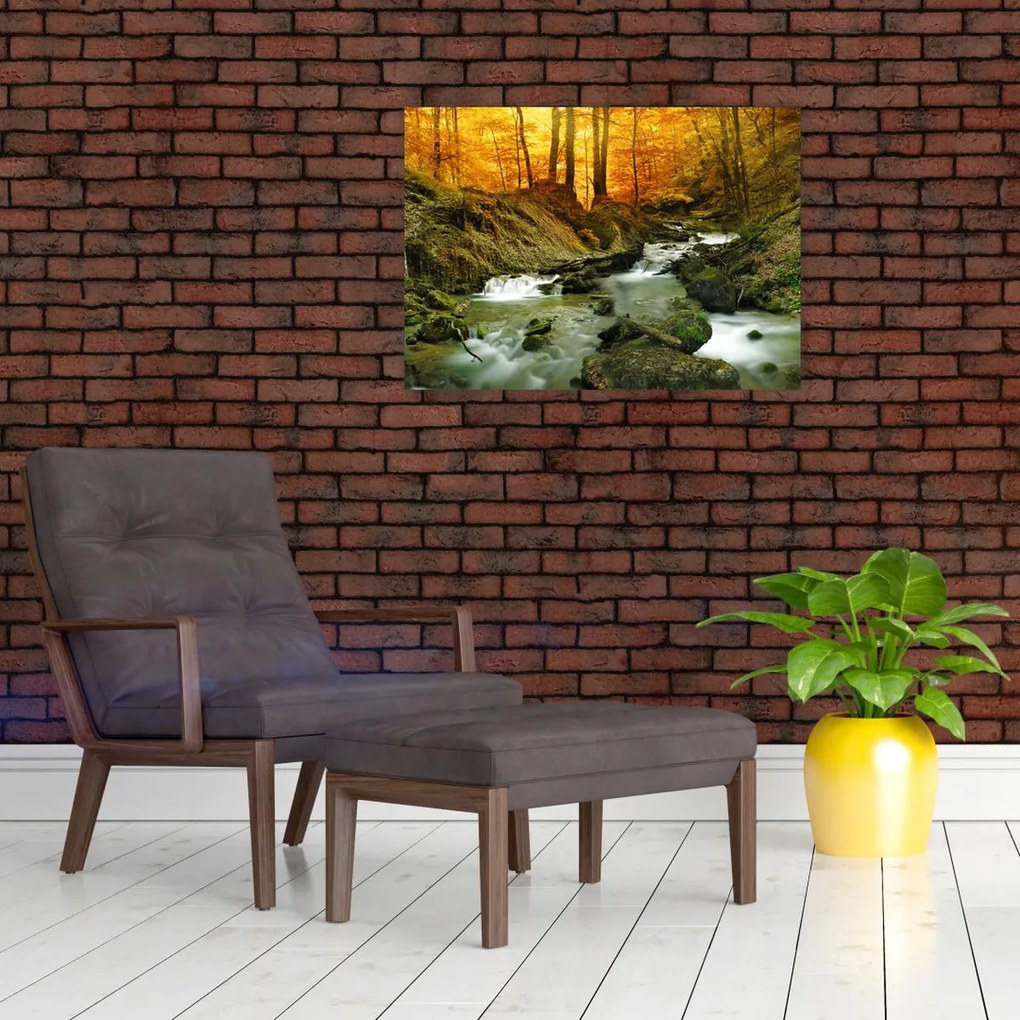 Obraz - Las (70x50 cm)