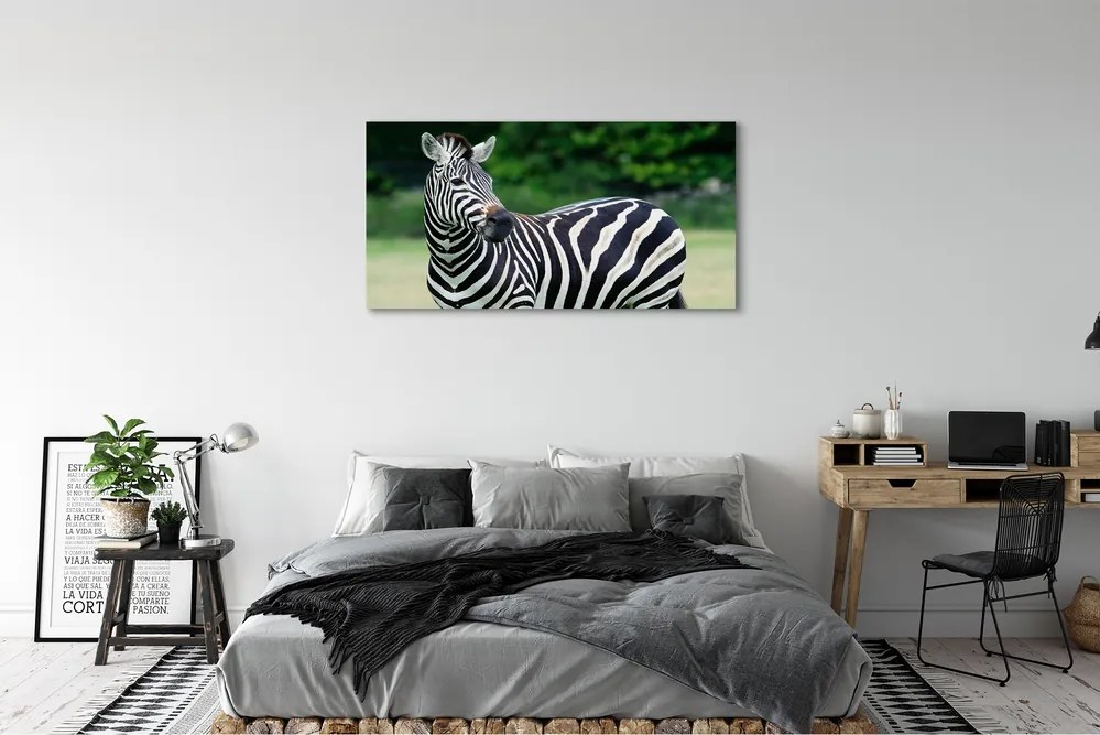 Zdjęcie na płótnie Zebra na Polu