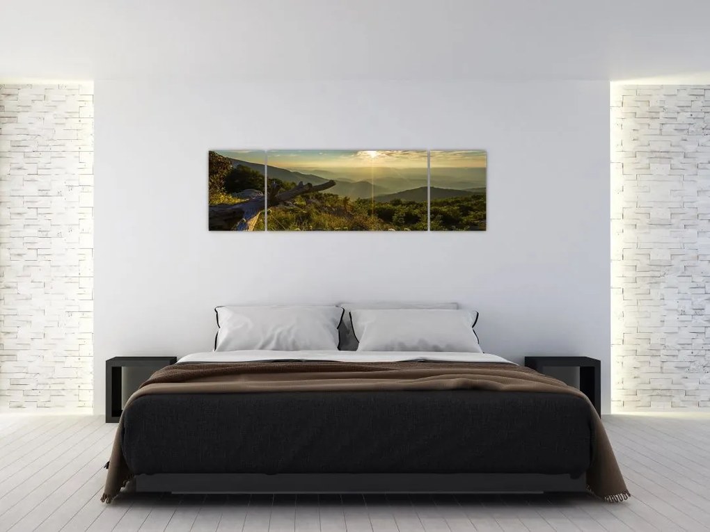 Obraz - Widok na otoczenie (170x50 cm)
