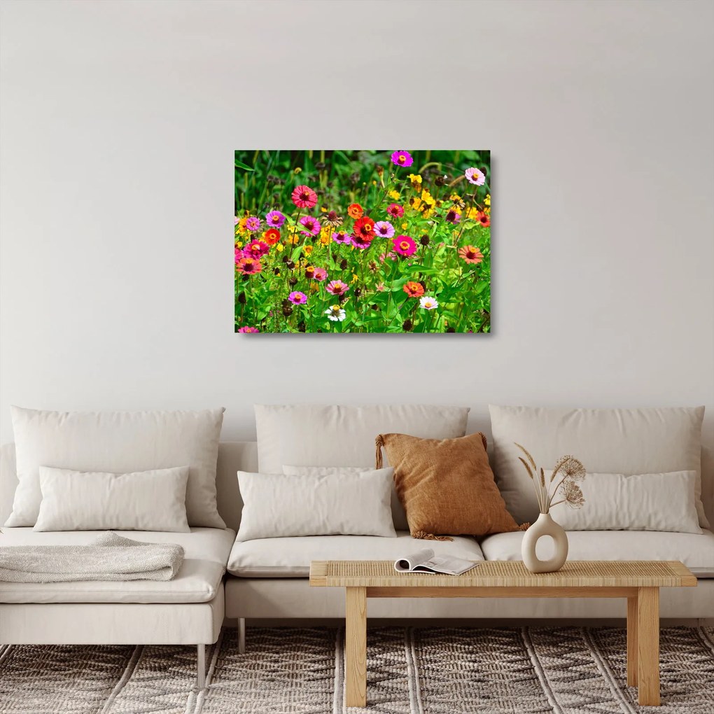 Obraz na szkle - kwiaty polne (70x50 cm)