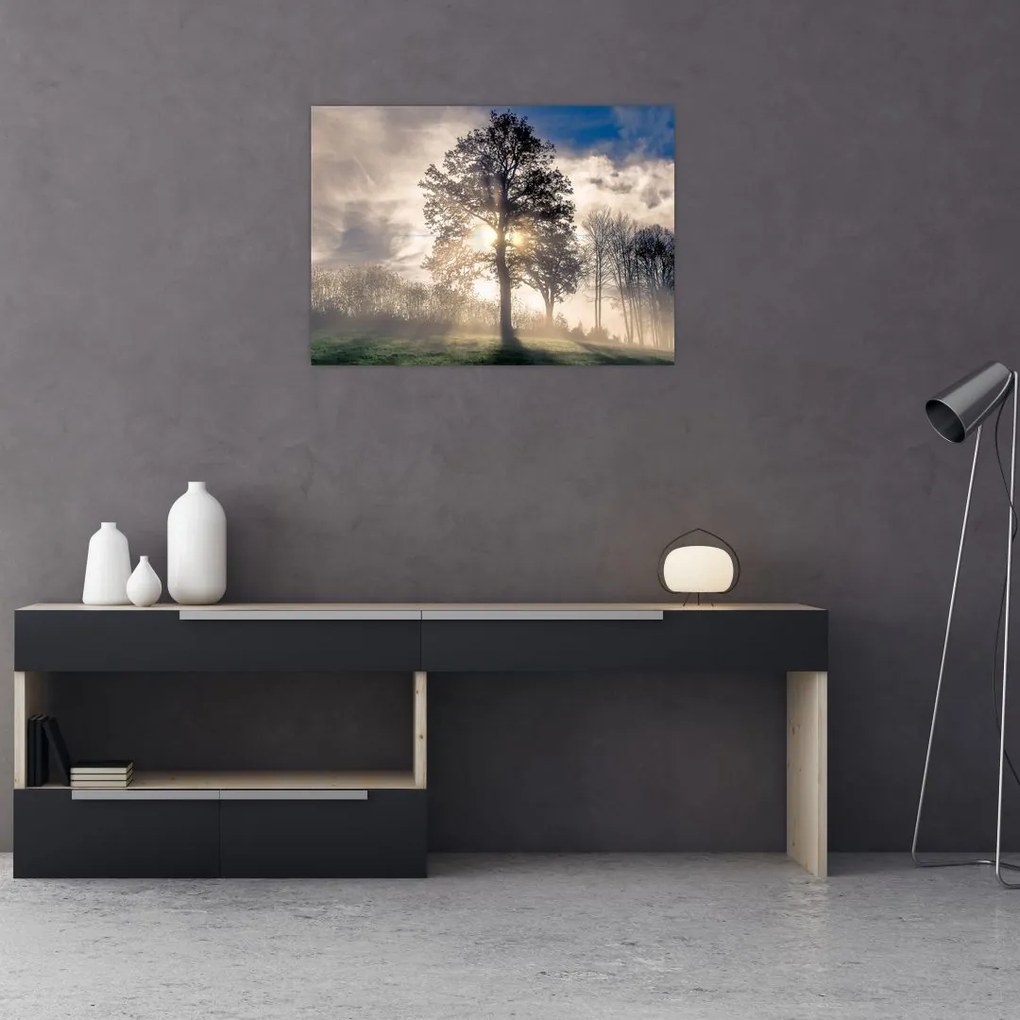 Obraz na szkle - drzewo we mgle (70x50 cm)