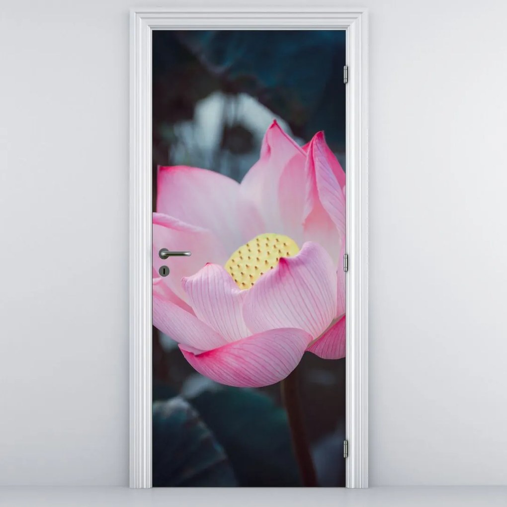Fototapeta na drzwi - Różowe kwiaty (95x205cm)