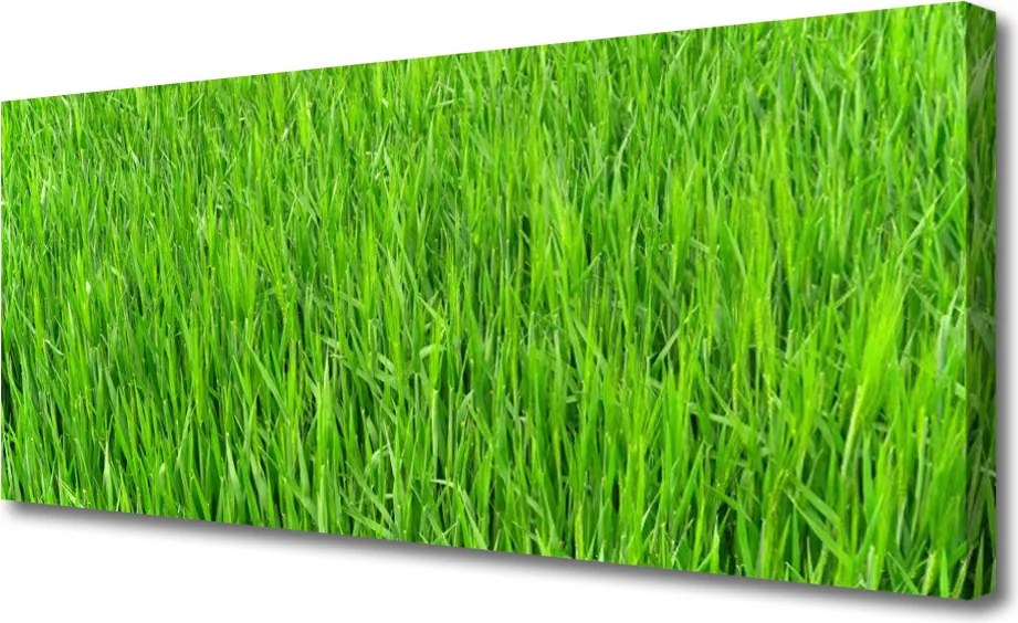 Obraz canvas Soczysta Zielona Murawa