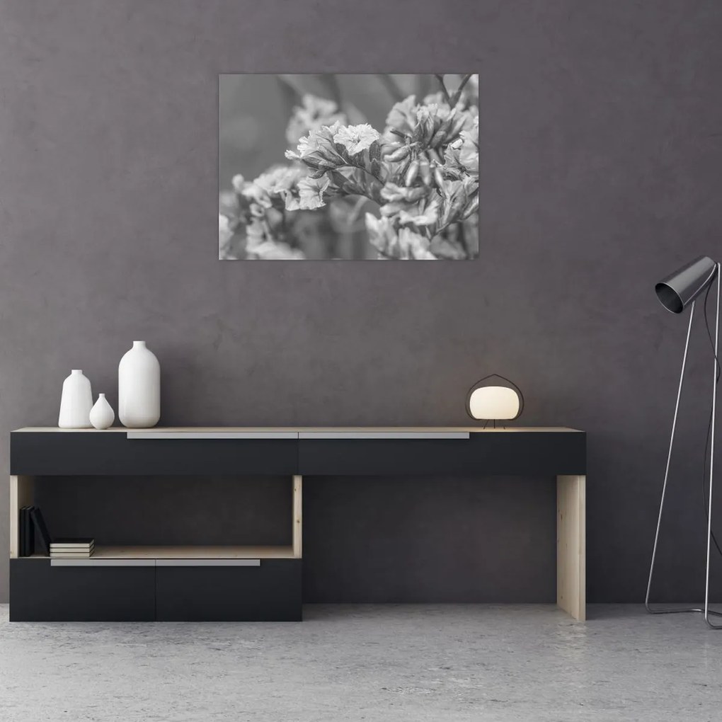 Obraz na szkle - Suszone kwiaty (70x50 cm)