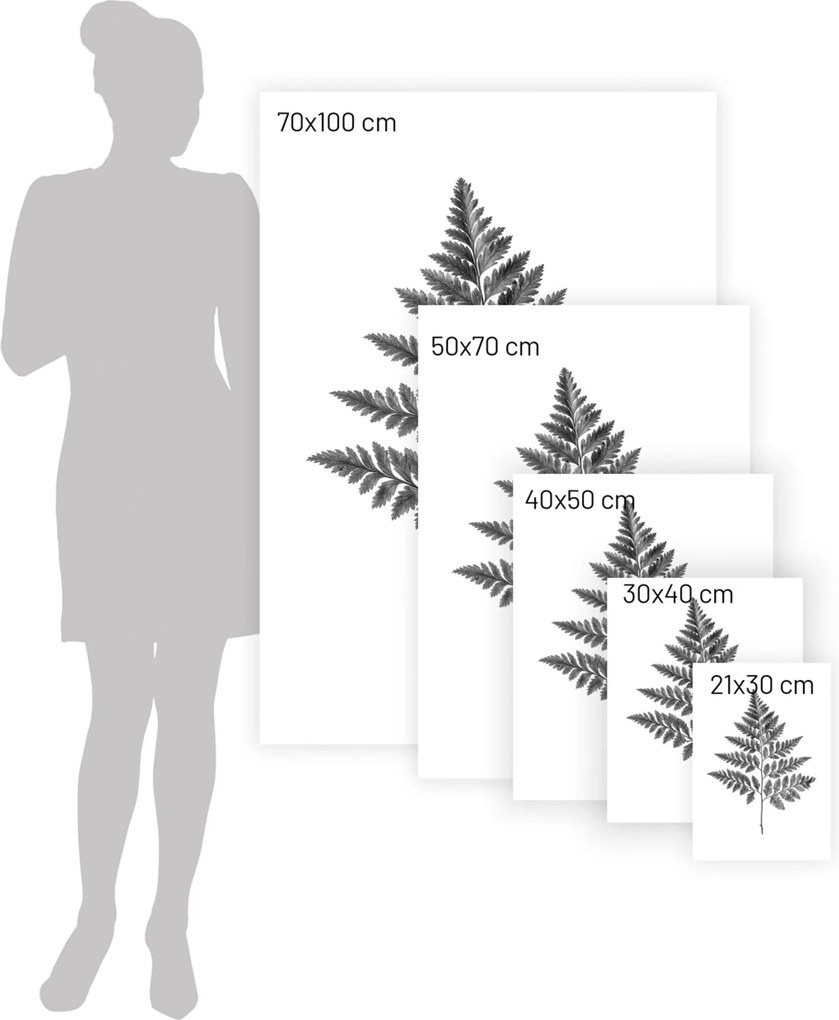 Plakat Fern Grey