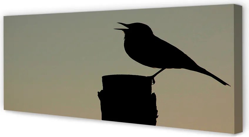 Obraz na płótnie Tajemniczy Czarny Ptak