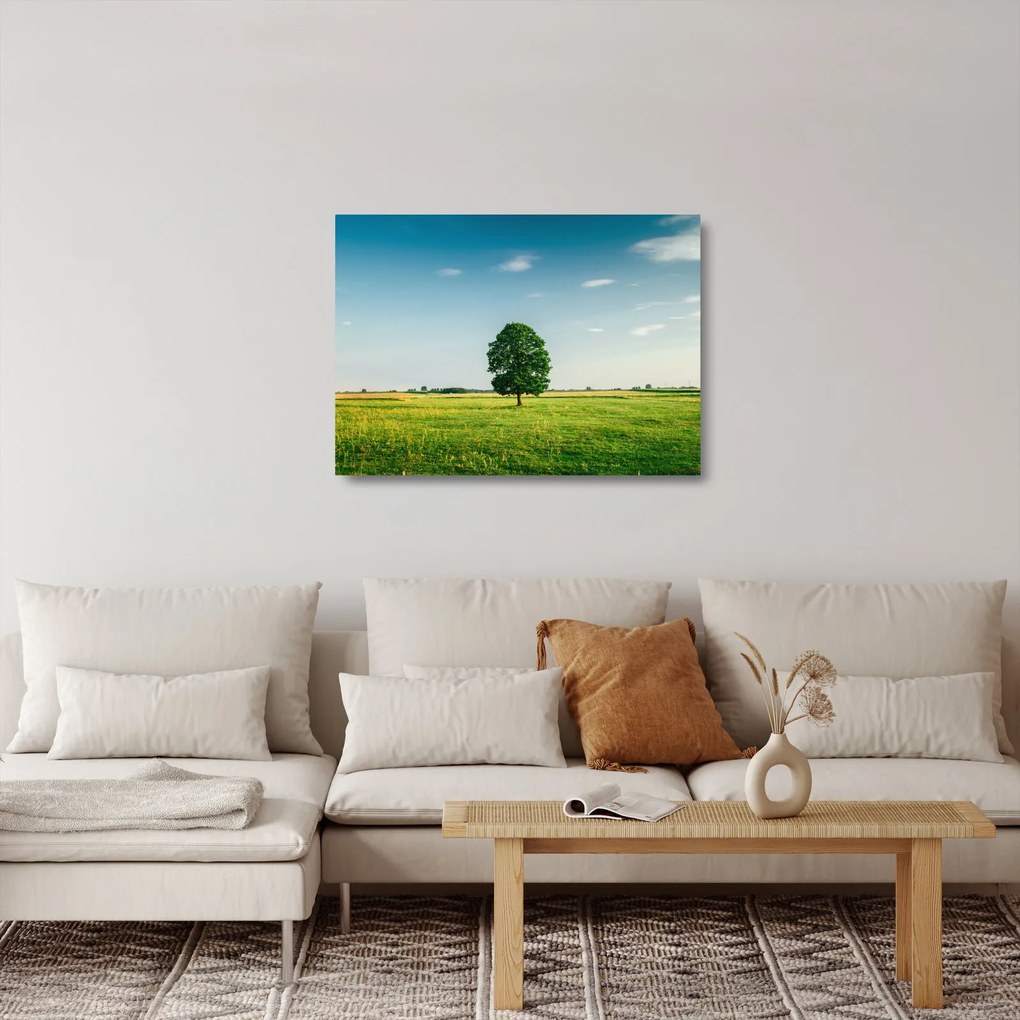 Obraz na szkle drzewa na łące (70x50 cm)
