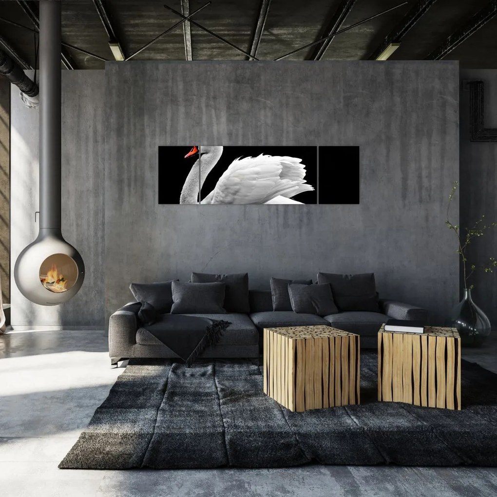 Obraz czarno - białego łabędzia (170x50 cm)