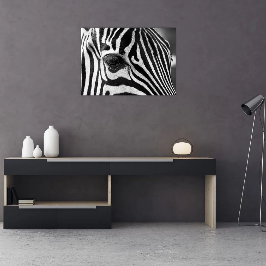 Obraz na szkle - zebra (70x50 cm)
