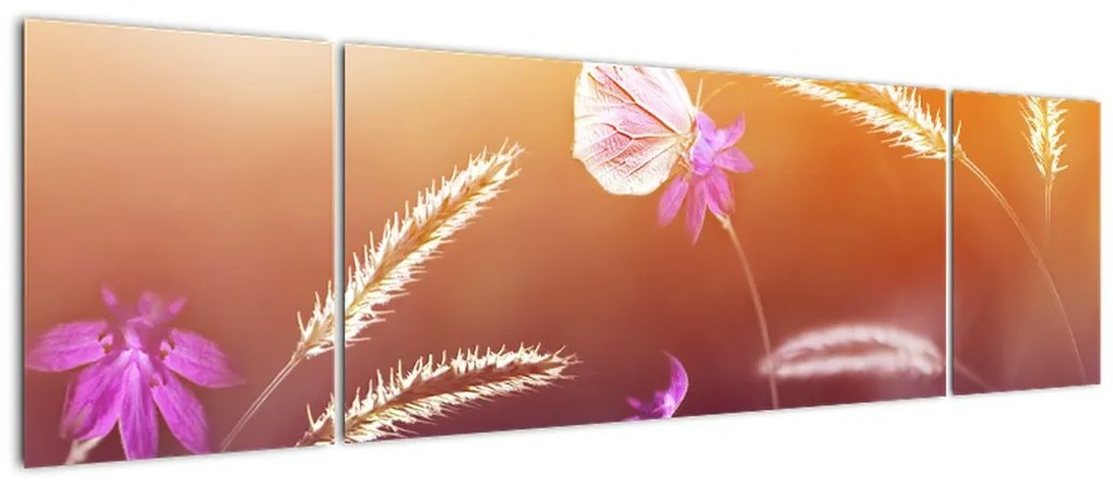 Obraz - Różowy motyl (170x50 cm)