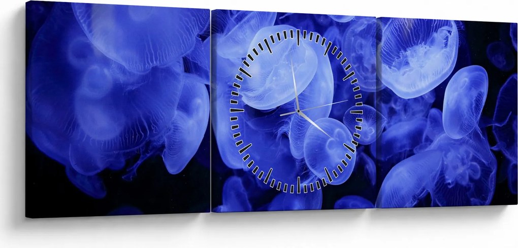 Obraz - Meduzy (z zegarem) (90x30 cm)